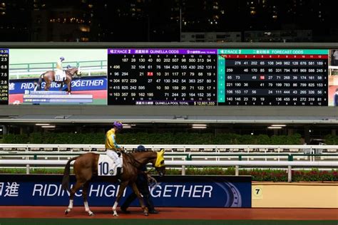 what is a quinella in horse racing|quinella bet explained.